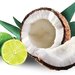 Unt de corp coconut lime cantitate: 198g